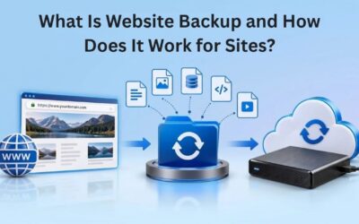 Blogs What Is Website Backup and How Does It Work for Sites?