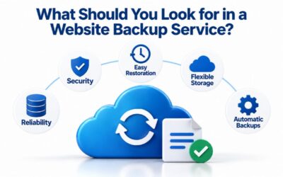Blogs What Should You Look for in a Website Backup Service?