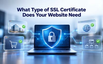 Blogs What Type of SSL Certificate Does Your Website Need?