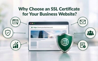 Why Choose an SSL Certificate for Your Business Website?