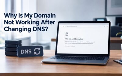 Blogs Why Is My Domain Not Working After Changing DNS?