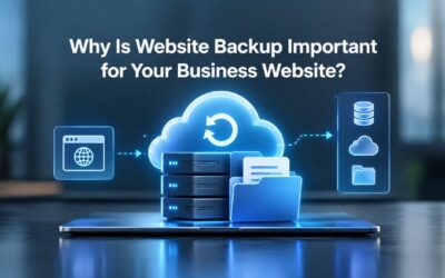 Blogs Why Is Website Backup Important for Your Business Website?