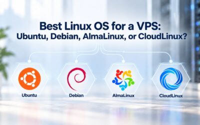 Best Linux OS for a VPS: Ubuntu, Debian, AlmaLinux, or CloudLinux?