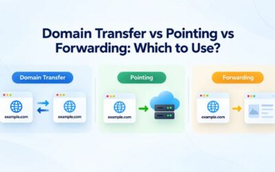 Domain Transfer vs Pointing vs Forwarding: Which to Use?
